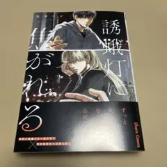 誘蛾灯に焦がれる