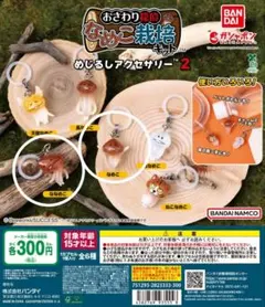 なめこ栽培キット　2個セット　めじるしアクセサリー2