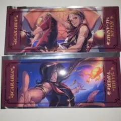 箔押しビッグクリアカード カリム ジャミル