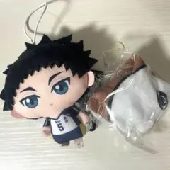 【24時間以内発送】ハイキュー!! 赤葦京治 グッズ 2点セット