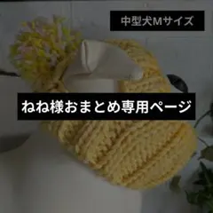 ねね様 リクエスト 2点 まとめ商品