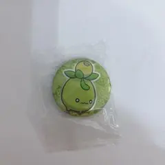 포켓몬 ミニーブ 缶バッジ