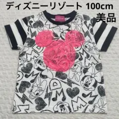 ディズニーリゾート ミニーちゃん&デイジープリントTシャツ 100cm美品