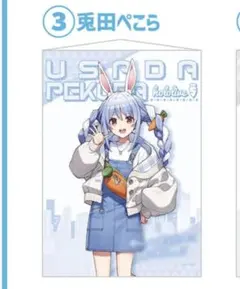 【新品未開封】c100兎田ぺこら & c101宝鐘マリン　タペストリー 新品未開封】c100兎田ぺこら & c101宝鐘マリン タペストリー - メルカリ