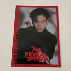 川村壱馬 PRIMAL SPIDER カード - メルカリ