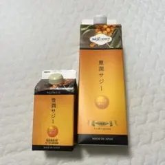 Item thumbnail for item d096e533-78ca-4937-b7ff-bb981dceedd9