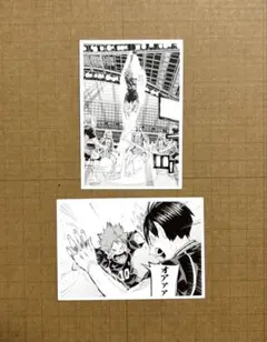 ハイキュー　クロニクル　日向翔陽　影山飛雄