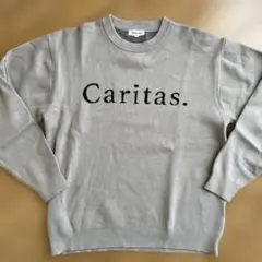 GLOBAL WORK/メンズニット美品