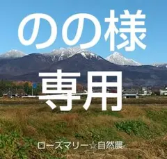 のの様 リクエスト 4点 まとめ商品