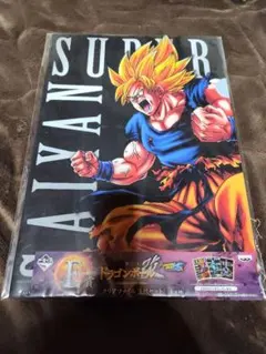 Item thumbnail for item e76f6c80-7bb1-4f29-bb05-12f5b23066ba