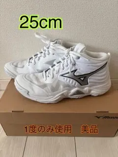 [ミズノ] ウェーブ モーメンタム エリートMID 25cm 美品のサムネイル