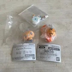 たまごっち カプセルフロッキーズ カラフルマルチチャーム めじるしアクセサリー