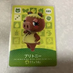 どうぶつの森　amiiboカード　ブリトニー　3