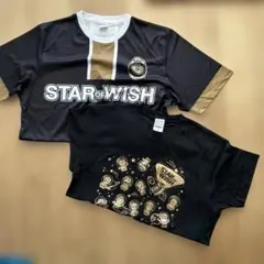 Item thumbnail for item 56630a37-1bc9-42c6-a639-51eab5483b01