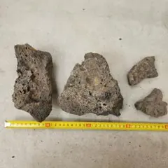 神鍋産 溶岩石 大小4個セット アクアリウム 園芸用のサムネイル