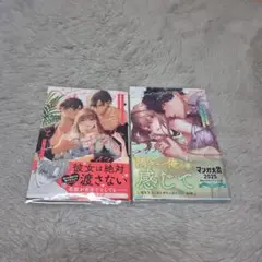 「26歳処女、チャラ男上司に抱かれました 3」他