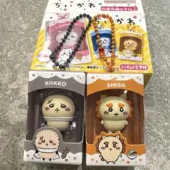 ちいかわ チョコボックス シーサー ラッコ