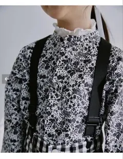 セツコサジテール