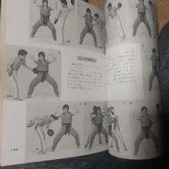 ベニーユキーデ格闘術