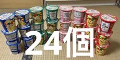 じゃがりこ 24個セット サラダ チーズ じゃがバター たらこバター　まとめ売りのサムネイル