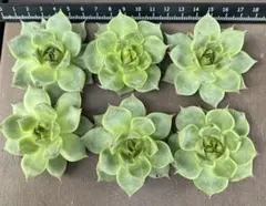 yukky様 リクエスト 3点 まとめ商品