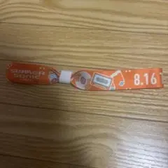 SUMMER SONIC 2025 リストバンド 即日発送 東京 2