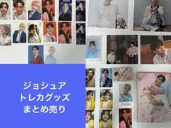 ジョシュア　トレカ　まとめ売り　セット　アルバム　ファイル