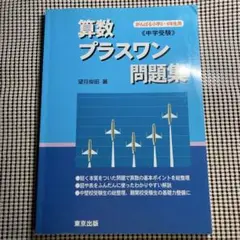 算数 プラスワン問題集 がんばる小学5・6年生用