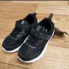 Item thumbnail for item 61fe1045-1d83-48a6-b907-1642fa97814e