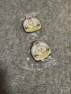 ★うさぎ×あのこ マグネット2個セット　くら寿司★