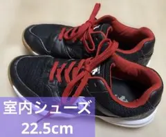 【美品】DESCENTE デサント 室内用シューズ　バレー ハンドボール 卓球