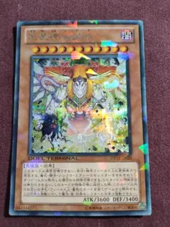2026年最新】創星神sophia シークレット DTCの人気アイテム