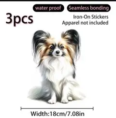 パピヨン C 犬 アイロンプリントシート 3枚セット 防水 ペット DIY