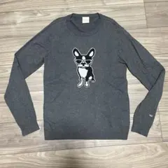 fLAnsisCA ビームス ニット セーター M 長袖 フランシスカ