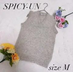 SPICY-UN ニットベスト Mサイズ グレー系 毛100％ 台湾製