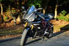 Yamaha YZF-R3 2019年式のサムネイル