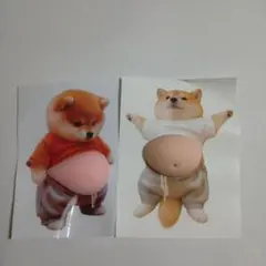 ☓　お腹　ぽっこり　シリコン　ぷにぷに　ステッカー　柴犬　シール　2枚