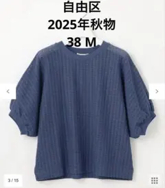 【良品】自由区 2025AW洗えるチェックジャガードカットソー 青 M 晩夏初秋のサムネイル