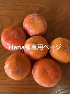 Hana様専用ページ岐阜県本巣市産富有柿