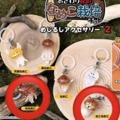 匿名配送※ なめこ栽培キット めじるしアクセサリー2 ねこなめこ 天使
