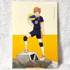 【ハイキュー】日向翔陽╱ポストカード.