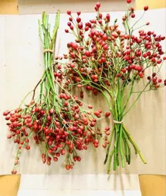 フレッシュリース インテリア