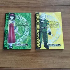 ポケモンジムの使い方　マチス編　エリカ編