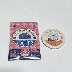ジブリ どんぐり共和国 缶バッジコレクション 魔女の宅急便