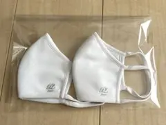 布マスク　子供用2枚セット