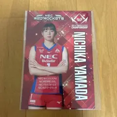 N*i様 NEC RR 山田二千華 レプリカユニフォーム 値下げ中】NECレッドロケッツ 山田二千華選手 サイン入りレプリカ