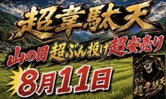 超韋駄天 超超超天下布武ローフリクションタイヤ メッキマスダンパー