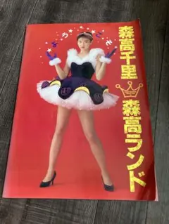 森高千里2019ツアーパンフレット、タオル、キーホルダー1個 - メルカリ