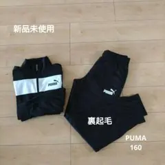 裏起毛 ジャージ