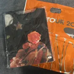 Item thumbnail for item ae31f89e-74c3-43b5-acaf-df19270be7fa